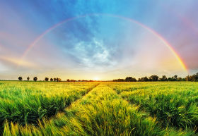 Regenbogen, Fotolia: TTstudio Fotolia 84629924 S